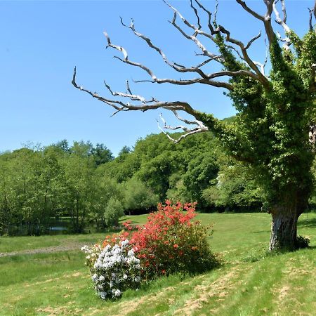 River Lodge - Cornwall Cardinham 外观 照片