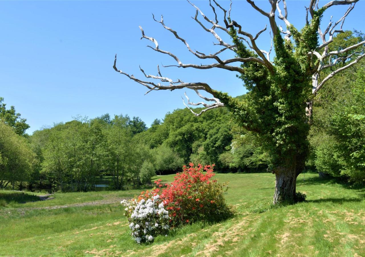 River Lodge - Cornwall Cardinham 外观 照片